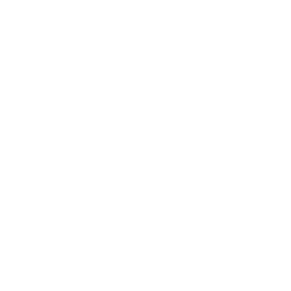 Widow Wise logo white